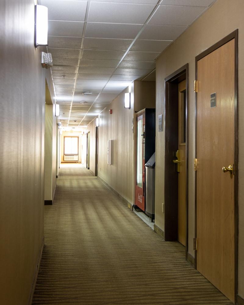 Red Roof Inn Newport News - Yorktown Exterior foto